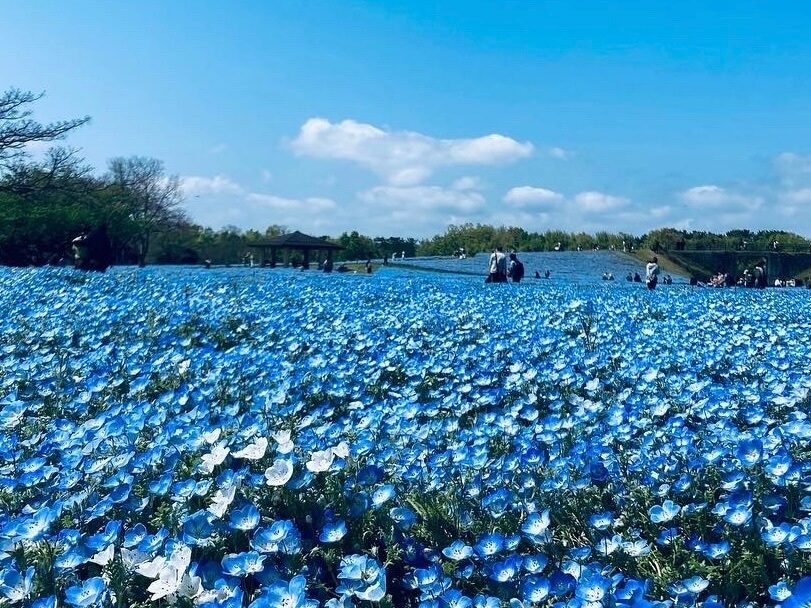 2023年】福岡県のおすすめ観光スポット45選《定番観光地から穴場まで！》｜RECOTRIP（レコトリップ）